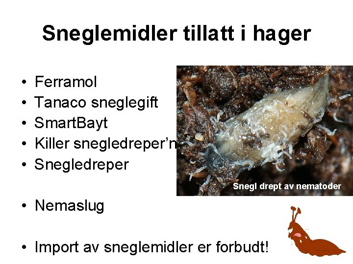 Sneglemidler tillatt i hager • • • Ferramol Tanaco sneglegift Smart. Bayt Killer snegledreper’n