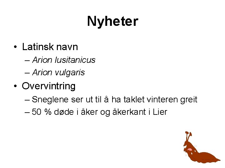 Nyheter • Latinsk navn – Arion lusitanicus – Arion vulgaris • Overvintring – Sneglene