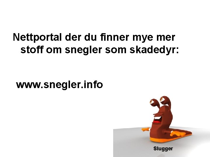 Nettportal der du finner mye mer stoff om snegler som skadedyr: www. snegler. info