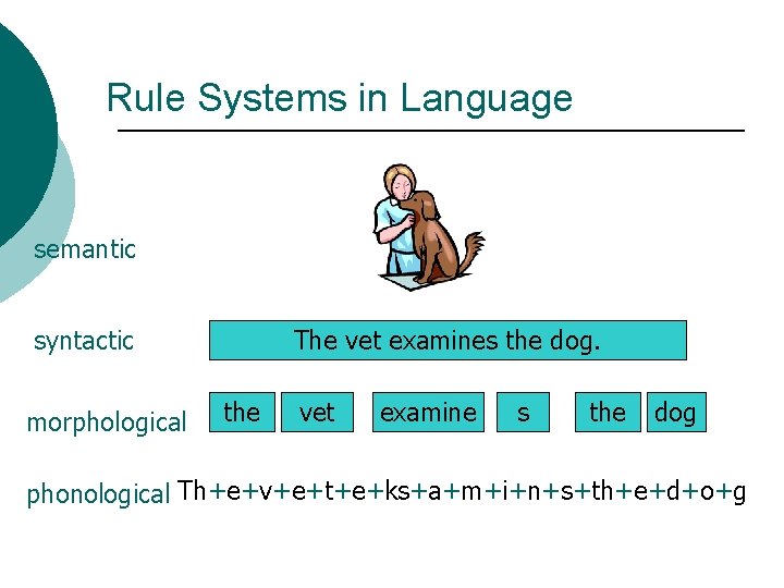 Rule Systems in Language semantic syntactic morphological The vet examines the dog. the vet
