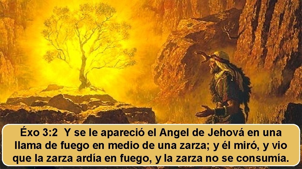 Éxo 3: 2 Y se le apareció el Angel de Jehová en una llama