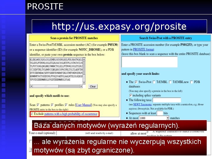 PROSITE http: //us. expasy. org/prosite Baza danych motywów (wyrażeń regularnych). . ale wyrażenia regularne