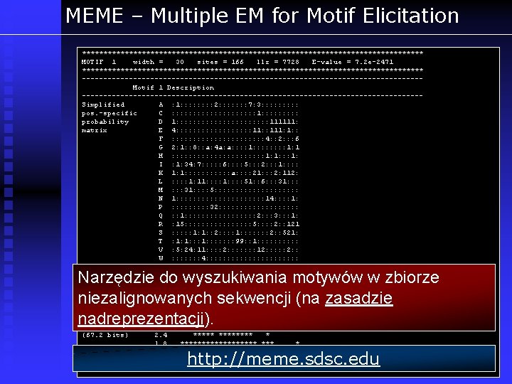 MEME – Multiple EM for Motif Elicitation **************************************** MOTIF 1 width = 30 sites
