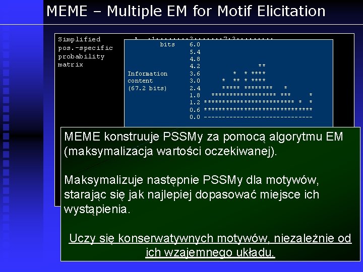 MEME – Multiple EM for Motif Elicitation Simplified pos. -specific probability matrix A :