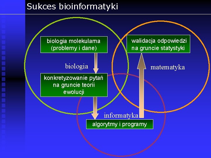 Sukces bioinformatyki biologia molekularna (problemy i dane) walidacja odpowiedzi na gruncie statystyki biologia matematyka