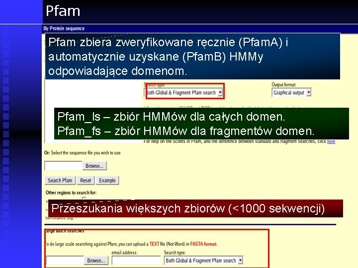 Pfam zbiera zweryfikowane ręcznie (Pfam. A) i automatycznie uzyskane (Pfam. B) HMMy odpowiadające domenom.