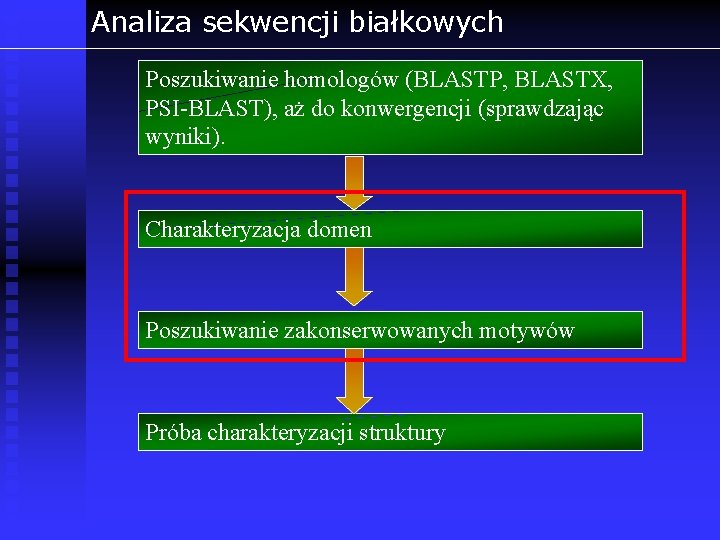 Analiza sekwencji białkowych Poszukiwanie homologów (BLASTP, BLASTX, PSI-BLAST), aż do konwergencji (sprawdzając wyniki). Charakteryzacja