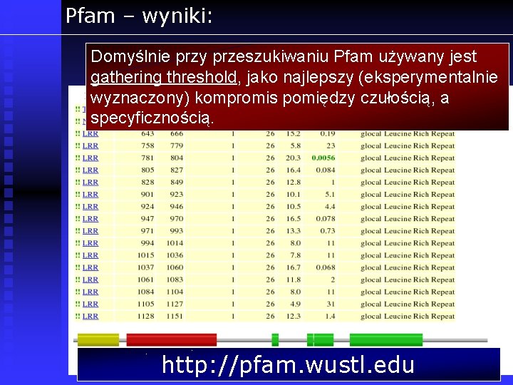 Pfam – wyniki: Domyślnie przy przeszukiwaniu Pfam używany jest gathering threshold, jako najlepszy (eksperymentalnie