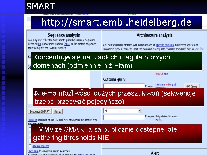 SMART http: //smart. embl. heidelberg. de Koncentruje się na rzadkich i regulatorowych domenach (odmiennie