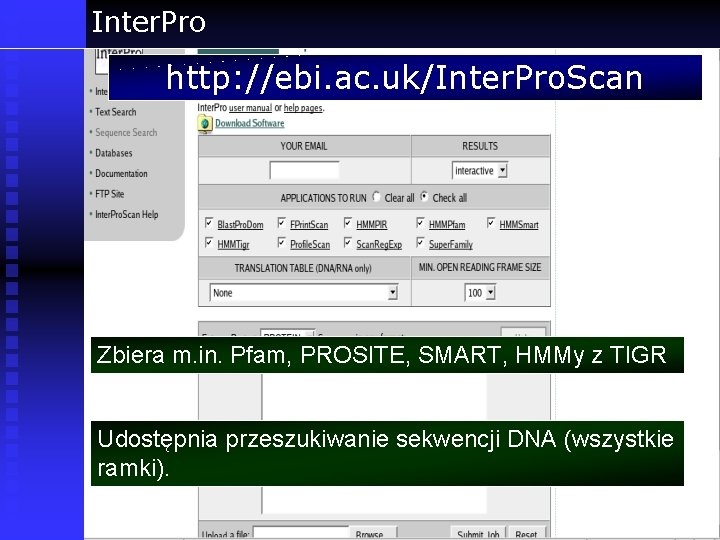 Inter. Pro http: //ebi. ac. uk/Inter. Pro. Scan Zbiera m. in. Pfam, PROSITE, SMART,