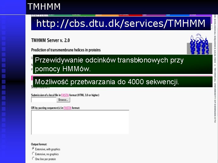 TMHMM http: //cbs. dtu. dk/services/TMHMM Przewidywanie odcinków transbłonowych przy pomocy HMMów. Możliwość przetwarzania do