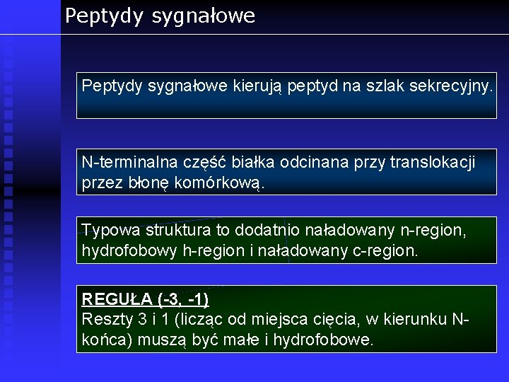 Peptydy sygnałowe kierują peptyd na szlak sekrecyjny. N-terminalna część białka odcinana przy translokacji przez