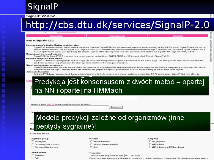 Signal. P http: //cbs. dtu. dk/services/Signal. P-2. 0 Predykcja jest konsensusem z dwóch metod