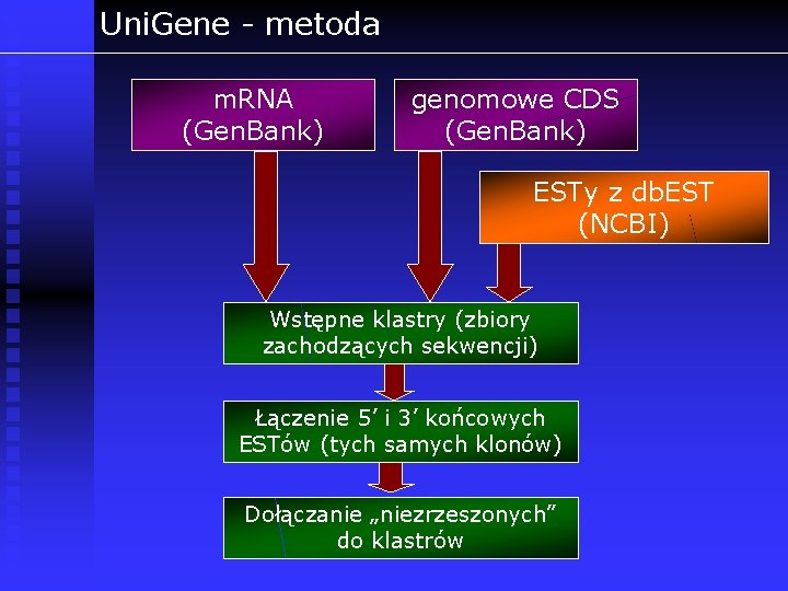 Uni. Gene - metoda m. RNA (Gen. Bank) genomowe CDS (Gen. Bank) ESTy z