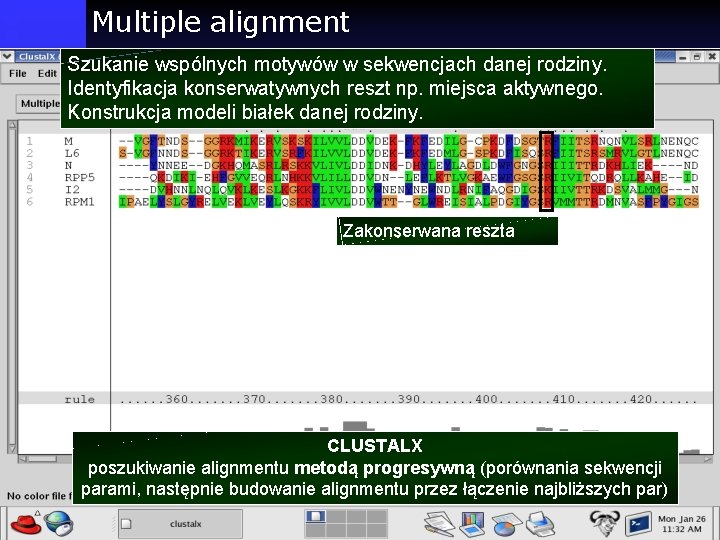 Multiple alignment Szukanie wspólnych motywów w sekwencjach danej rodziny. Identyfikacja konserwatywnych reszt np. miejsca