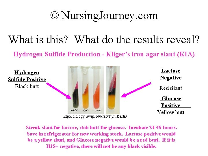 © Nursing. Journey. com What is this? What do the results reveal? Hydrogen Sulfide