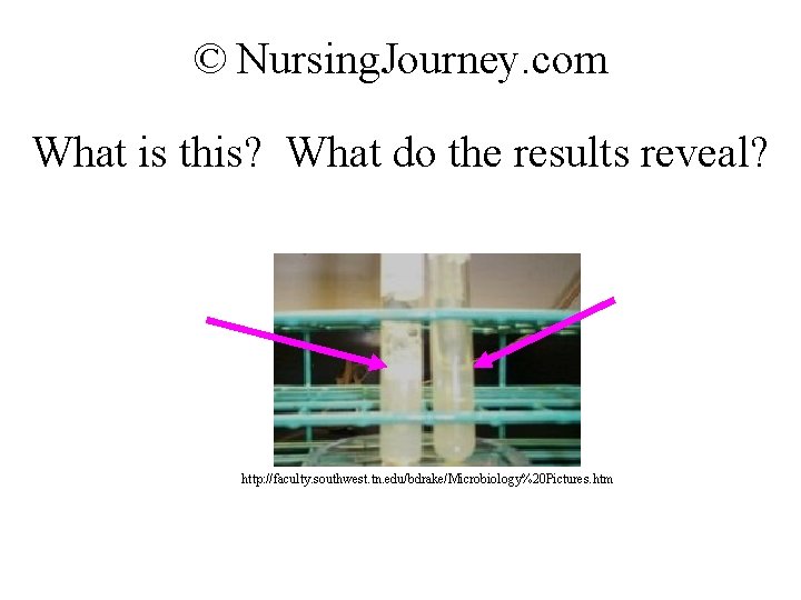 © Nursing. Journey. com What is this? What do the results reveal? http: //faculty.