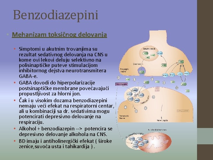 Benzodiazepini • Mehanizam toksičnog delovanja • Simptomi u akutnim trovanjima su rezultat sedativnog delovanja