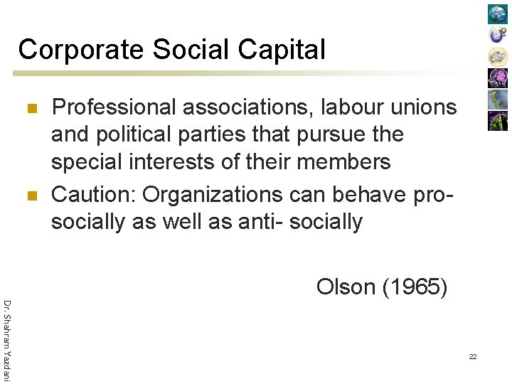 Corporate Social Capital n n Professional associations, labour unions and political parties that pursue