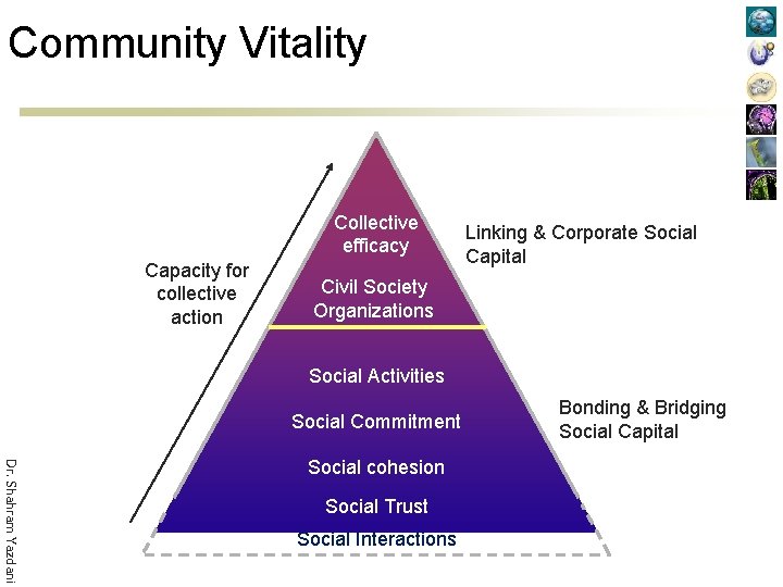 Community Vitality Collective efficacy Capacity for collective action Linking & Corporate Social Capital Civil