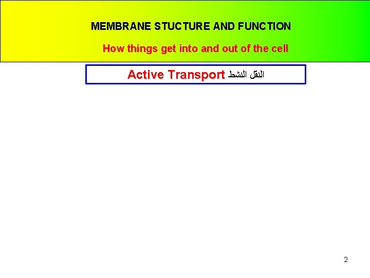 MEMBRANE STUCTURE AND FUNCTION How things get into and out of the cell Active