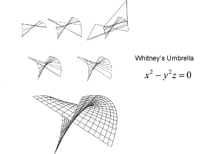 Whitney’s Umbrella. 