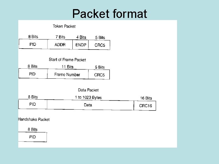 Packet format 