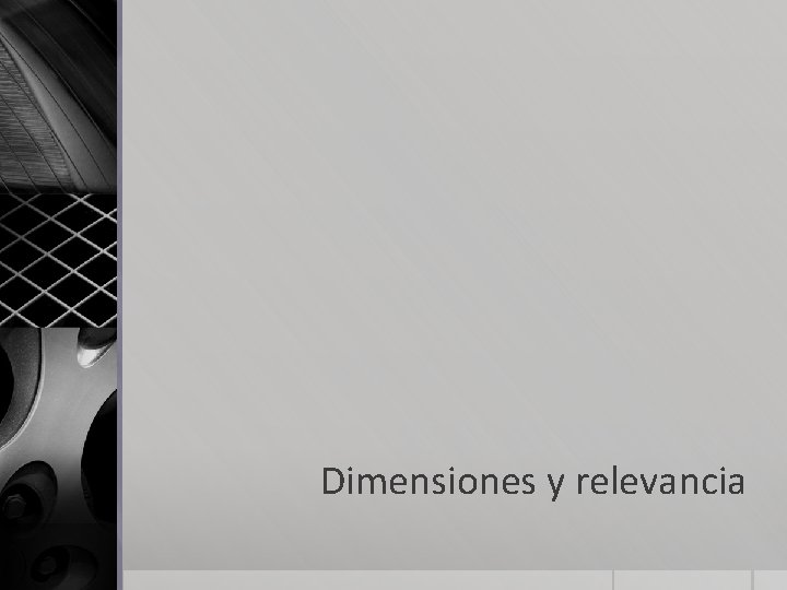 Dimensiones y relevancia 