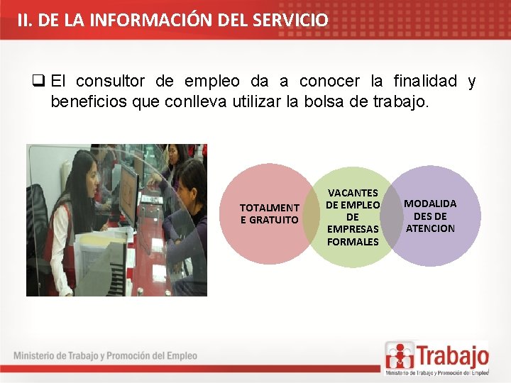 II. DE LA INFORMACIÓN DEL SERVICIO q El consultor de empleo da a conocer