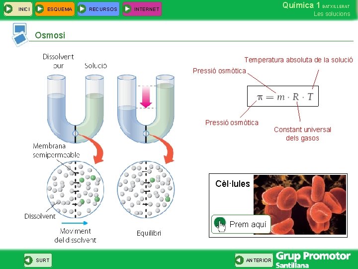 INICI ESQUEMA RECURSOS Química 1 BATXILLERAT INTERNET Les solucions Osmosi Temperatura absoluta de la
