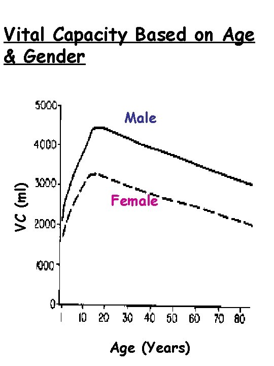Vital Capacity Based on Age & Gender VC (ml) Male Female Age (Years) 