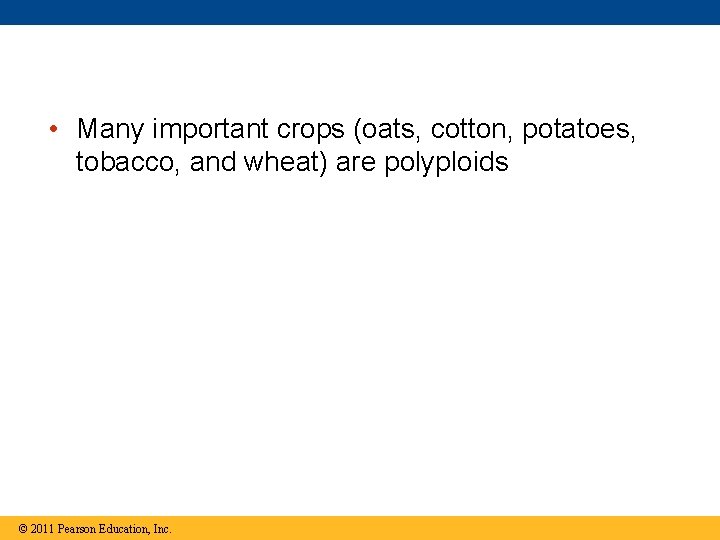  • Many important crops (oats, cotton, potatoes, tobacco, and wheat) are polyploids ©