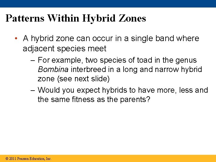 Patterns Within Hybrid Zones • A hybrid zone can occur in a single band