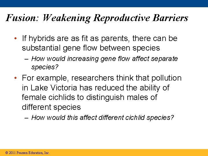 Fusion: Weakening Reproductive Barriers • If hybrids are as fit as parents, there can