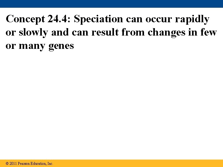 Concept 24. 4: Speciation can occur rapidly or slowly and can result from changes