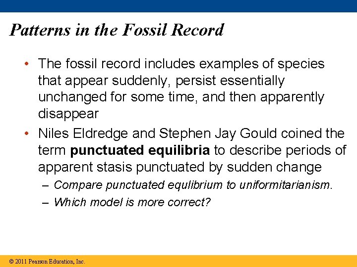 Patterns in the Fossil Record • The fossil record includes examples of species that