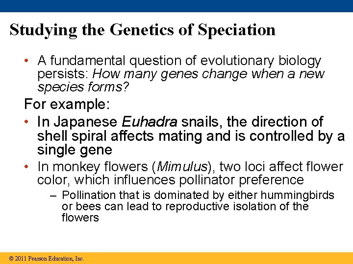 Studying the Genetics of Speciation • A fundamental question of evolutionary biology persists: How