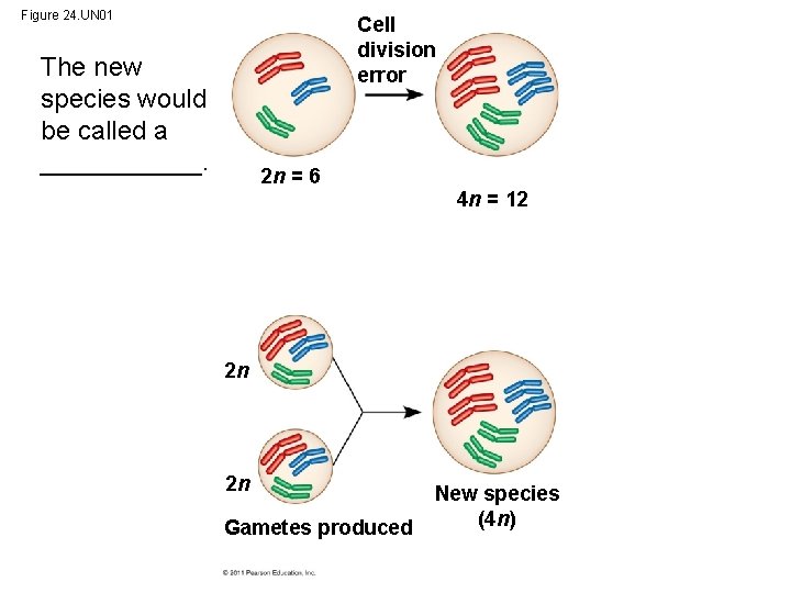 Figure 24. UN 01 Cell division error The new species would be called a