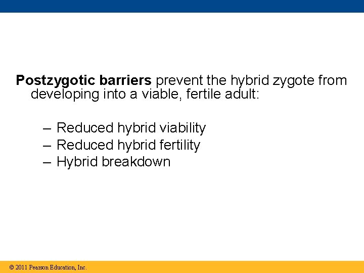 Postzygotic barriers prevent the hybrid zygote from developing into a viable, fertile adult: –