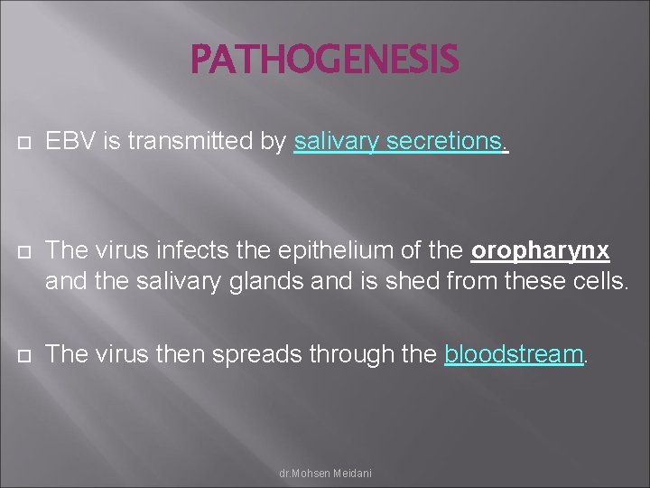 PATHOGENESIS EBV is transmitted by salivary secretions. The virus infects the epithelium of the