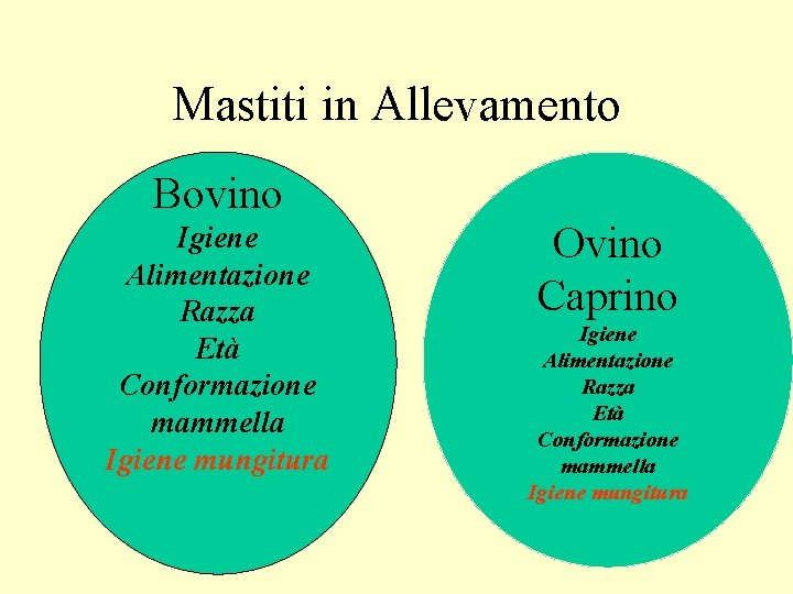 Mastiti in Allevamento Bovino Igiene Alimentazione Razza Età Conformazione mammella Igiene mungitura Ovino Caprino