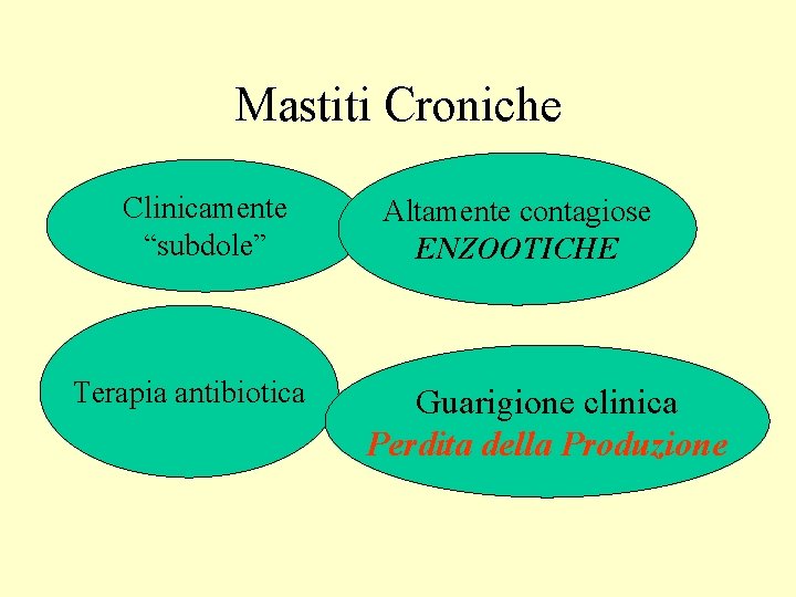 Mastiti Croniche Clinicamente “subdole” Terapia antibiotica Altamente contagiose ENZOOTICHE Guarigione clinica Perdita della Produzione