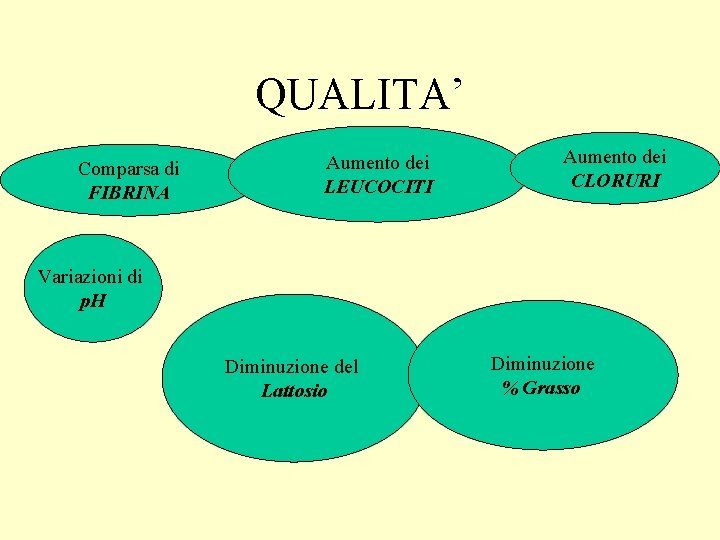 QUALITA’ Comparsa di FIBRINA Aumento dei LEUCOCITI Aumento dei CLORURI Variazioni di p. H