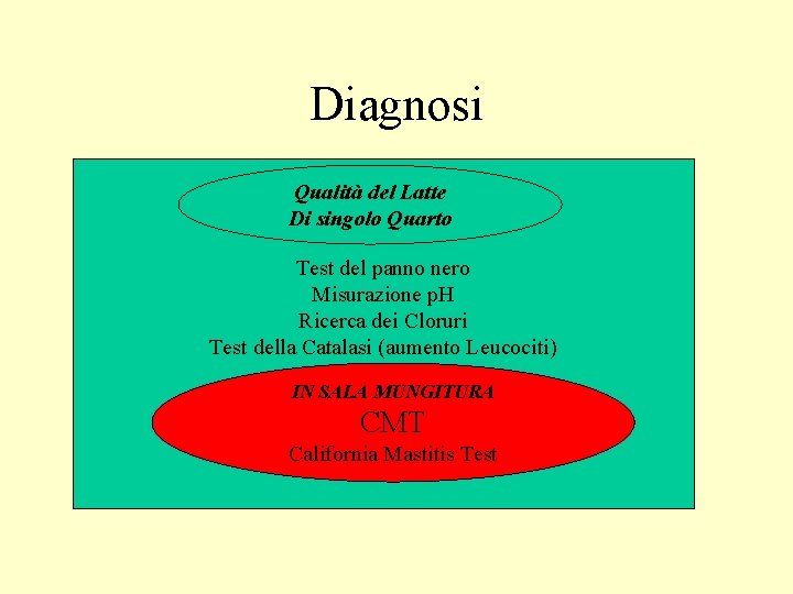 Diagnosi Qualità del Latte Di singolo Quarto Test del panno nero Misurazione p. H