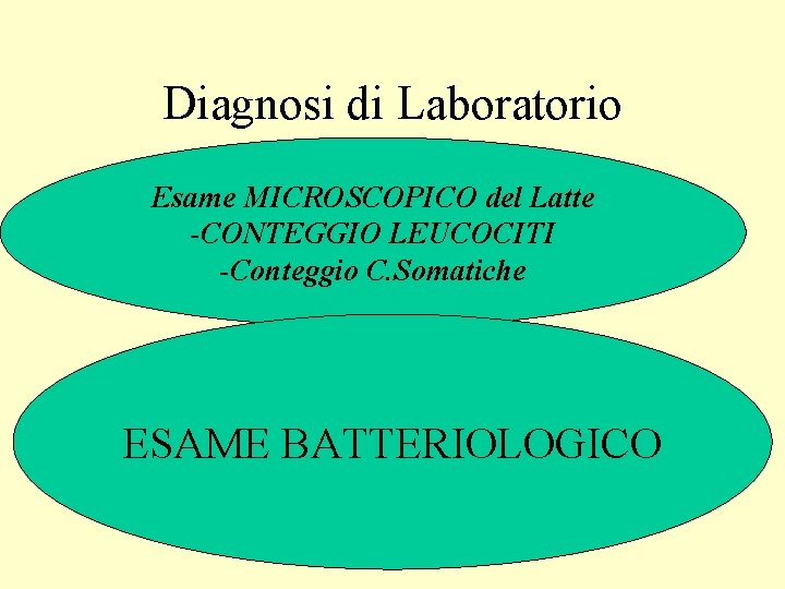 Diagnosi di Laboratorio Esame MICROSCOPICO del Latte -CONTEGGIO LEUCOCITI -Conteggio C. Somatiche ESAME BATTERIOLOGICO