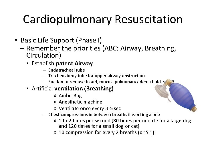 Cardiopulmonary Resuscitation • Basic Life Support (Phase I) – Remember the priorities (ABC; Airway,