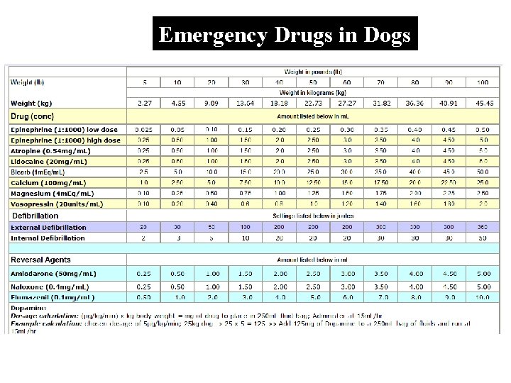 Emergency Drugs in Dogs 
