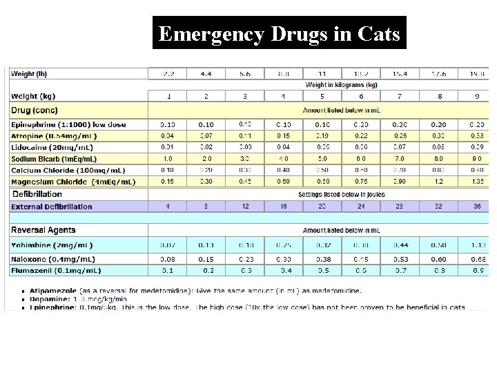 Emergency Drugs in Cats 