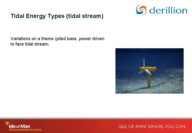 Tidal Energy Types (tidal stream) Variations on a theme (piled base, power driven to