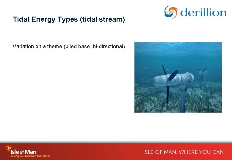 Tidal Energy Types (tidal stream) Variation on a theme (piled base, bi-directional) 